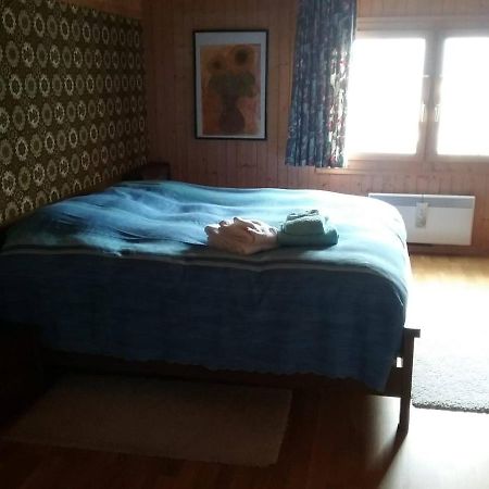 Walser Chalet Casa Paterna Disentis Ngoại thất bức ảnh