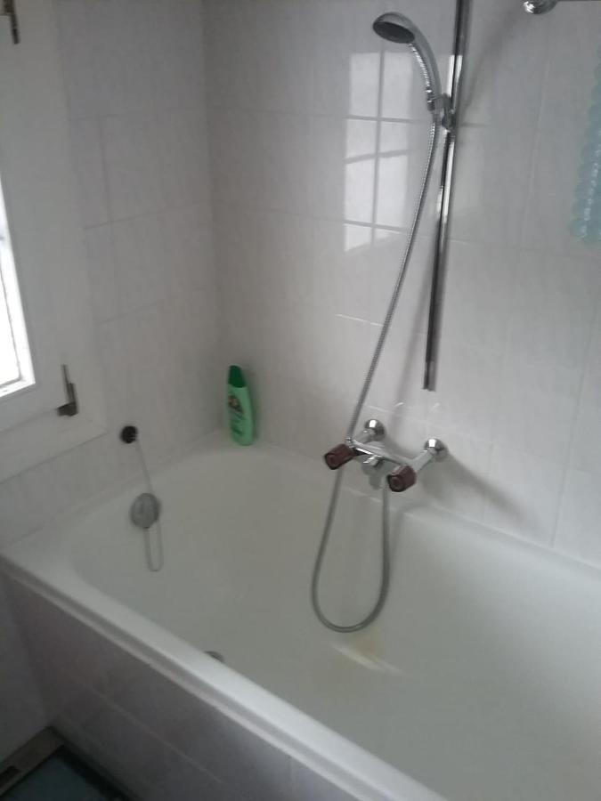 Walser Chalet Casa Paterna Disentis Ngoại thất bức ảnh